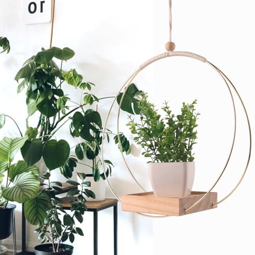 Cintre pour plantes socle bois pour éviter les chutes de pots - 6