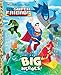 Big Heroes! (DC Super Friends) (Little Golden Book)