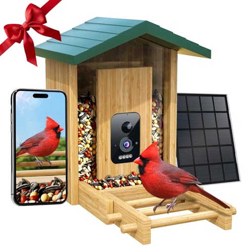 Bird Feeder020-1
