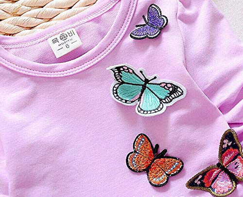 Infant Little Baby Girls Clothing Set 2 Pieces Set Long Sleeve T Shirt and Skirt Pants3