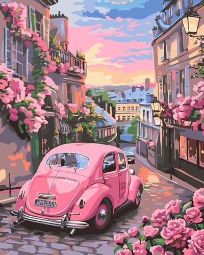 JATOK Paint by Numbers Kit, 16x20in, Car Design