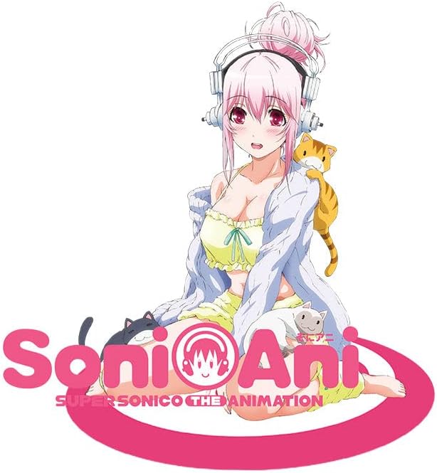 D&D Entertainment Soni ANI Super Sonico Acrylic Figure Stand Officially Licensed