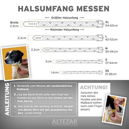 ALTEZAR Hundehalsband Leder - braunes Rindsleder Tribal Farbenrausch durchgehend Bestickt bunt - Handgemacht in Mexiko Lederhalsband Hund - Größe S - für kleine Hunde