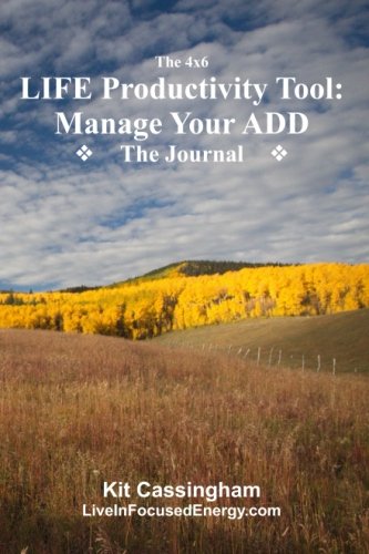 The 4×6 LIFE Productivity Tool: Manage Your ADD: The Journal to Manage Your Goals and Projects