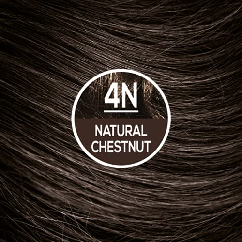 Naturtint Permanent Hair Color 4N Natural Chestnut (Pack Of 1), Ammonia Free, Vegan, Cruelty Free, Up To 100% Gray Coverage, Long Lasting Results #TOP4