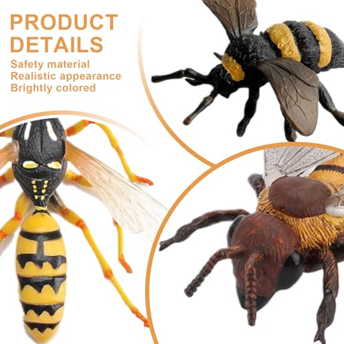 Juguetes educativos de aprendizaje sobre insectos para proyectos 3