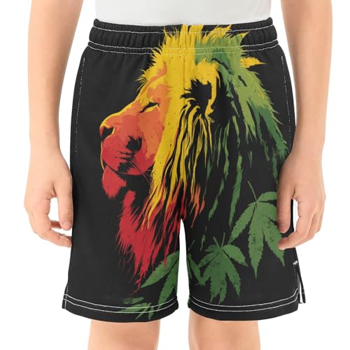 DOMIKING Lion Black Kids Shorts Pull-on Boys Shorts with Elastic Waist Casual Athletic Pants for Playwear Summer2