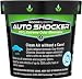 Biocide Systems 3213 Auto Shocker Interior Odor Eliminator