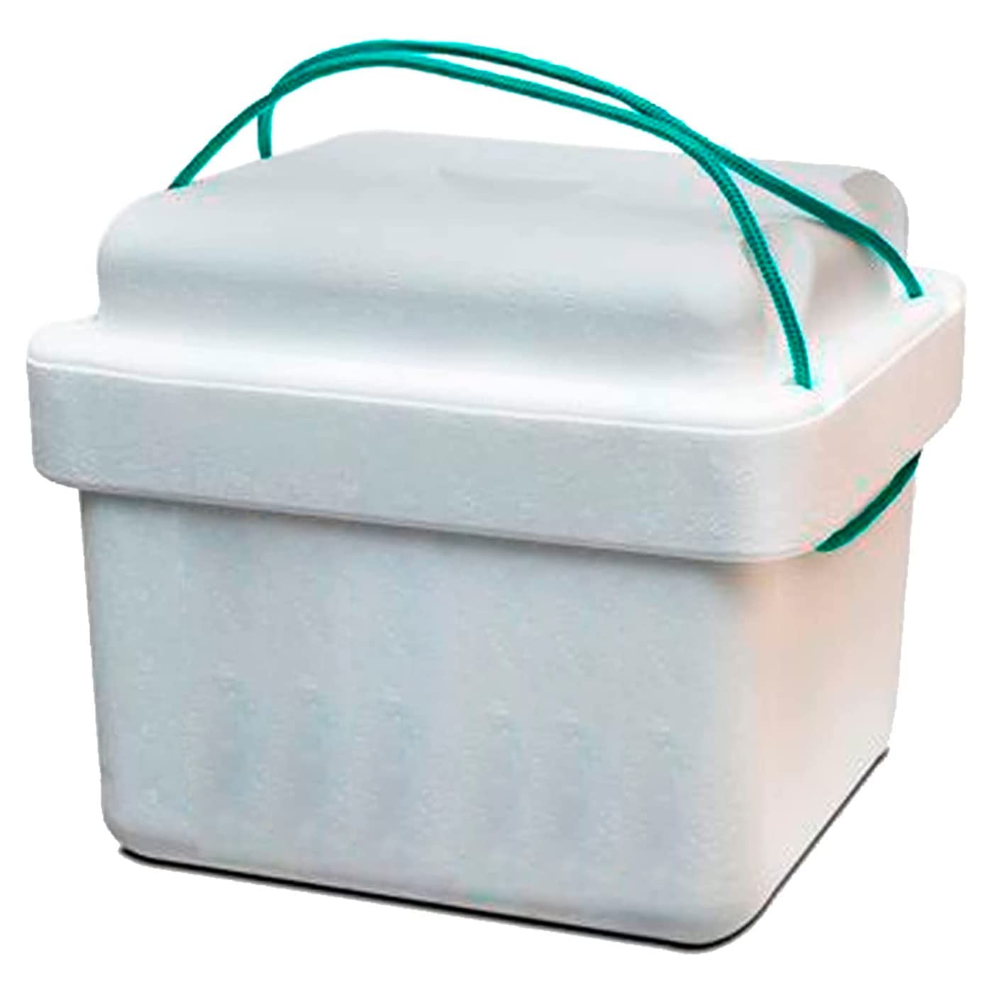 AC - Nevera portatil con asa, Fabricado en Polipropileno Resistente, Ideal para Playa o acampadas, Porta Alimentos.