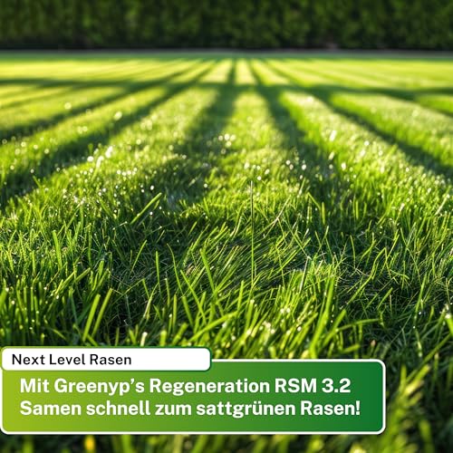 Greenyp Turbo Nachsaat RSM 3.2 I Rasensamen schnellkeimend Frühjahr I 5kg für 200m² I Ideal gegen Lücken als Neu- & Nachsaat I 100% RSM Rasensamen I Grassamen Rasensaat Gras Reparaturrasen