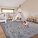 Soft Grey Rugs for Bedroom Living Room, 4x6 Feet Modern Indoor Fuzzy Shaggy Area Rug, Non-Slip Fluffy Furry Rug for Nursery Kids Room Dorm Room Home Decor, High Pile Plush Floor Carpet