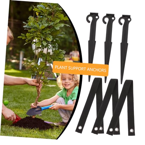 Ancres de fixation d'arbre contre le déracinement et le vent - 4
