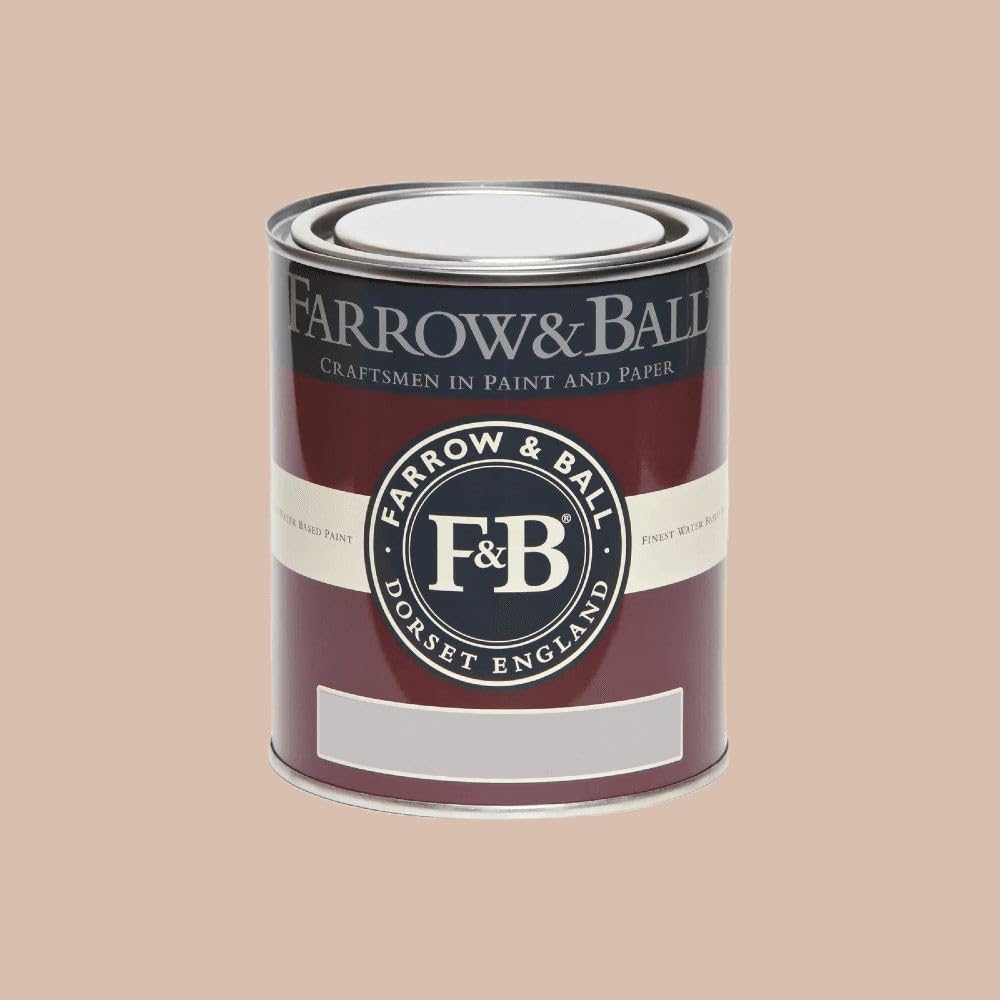 Paint Stop Mixed Colour Farrow & Ball Flat Eggshell 231 Setting Plaster 750Ml