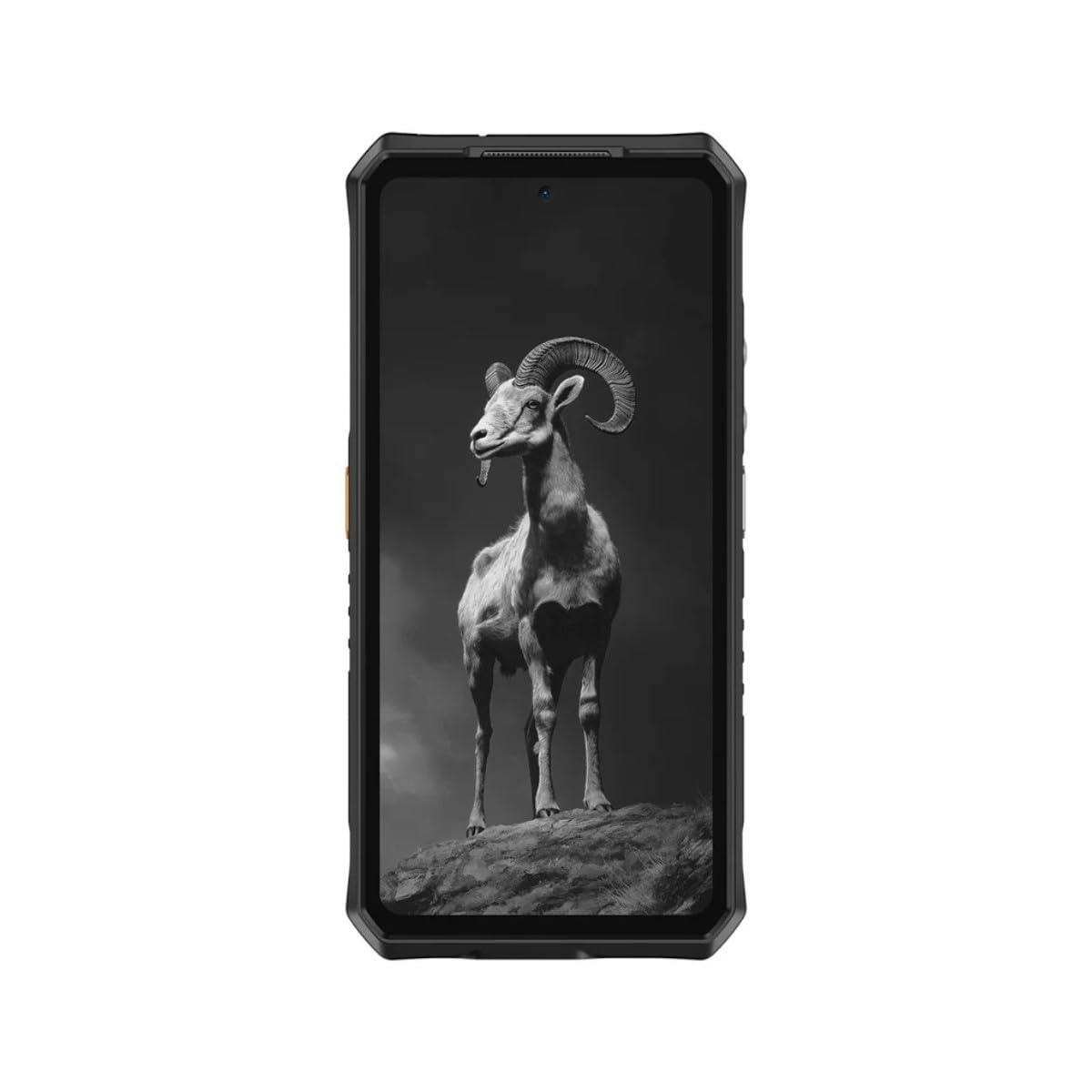 Ulefone Armor 28 Pro Outdoor Handy 10600mAh Nachtsicht 512GB Epic Black