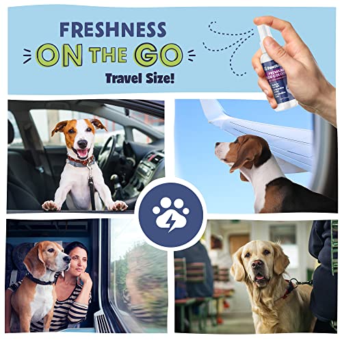 Vet Recommended Premium Dog Cologne & Perfume Deodorizing Spray - Long Lasting Puppy Safe Sensitive Skin Formula Made in USA - Grooming Odor Eliminator - Fresh Cucumber Melon Scent - Alcohol Free 4 oz - Thumbnail 6