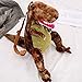 Sac à dos Dino en peluche, sac à dos dinosaure en peluche pour enfants Sac à dos animal de dessin animé 3D sangle réglable Sac à dos en peluche Dino T-Rex pour enfants garçons filles-43cmx23cmx14cm