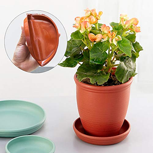 SJDWDX 6 Pack Plastic Plant Saucer, 8 inch Planter Trays, Flower Pot Tray - Image 3