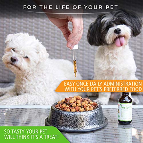RestoraPet Organic Bacon Flavor Pet Supplement for Dogs, Cats & Horses | Healthy & Safe Antioxidant Liquid Drops | Anti-Inflammatory Multi-Vitamin | Increases Mobility, Energy & Reduces Joint Pain - Thumbnail 5