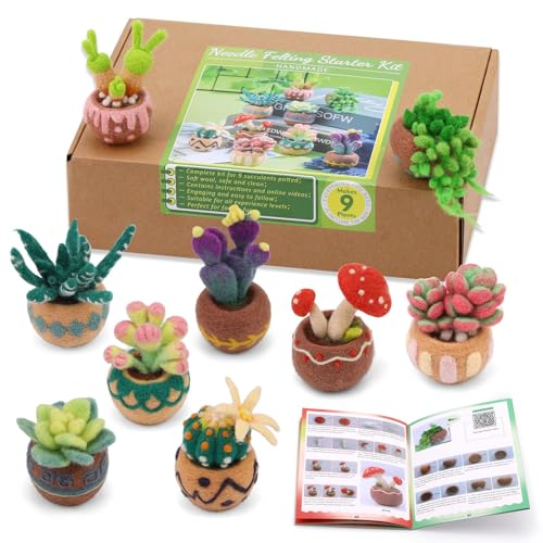 Yizzvb Succulent Needle Felting Kit
