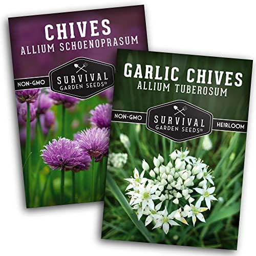 Chive Seed Collection - Common & Garlic Chives โ 2 Packets of Non...