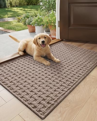 DEXI Front Door Mat Inside Entrance Non Slip 44 x 76 cm Washable Indoor Doormats Low Profile Dirt Trapping Welcome Mat for Floor Home Entryway Porter Hall Backdoor Area Beige