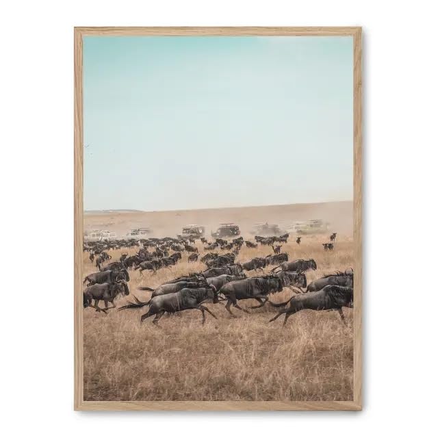 Tableau Wildebeest stampede FASE5 pour donner de la vie à un mur blanc