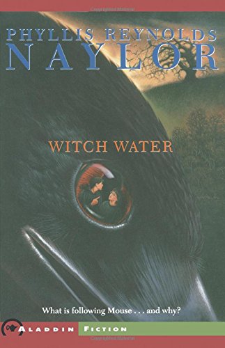Witch Water (W.I.T.C.H. (Paperback))