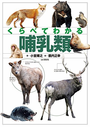 くらべてわかる 哺乳類 Japanese Edition 小宮 輝之 薮内 正幸 Amazon Com
