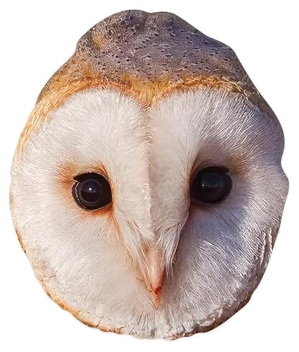 STAR CUTOUTS SM444 Masque hibou en carton – Superbe sujet de conversation – si réaliste