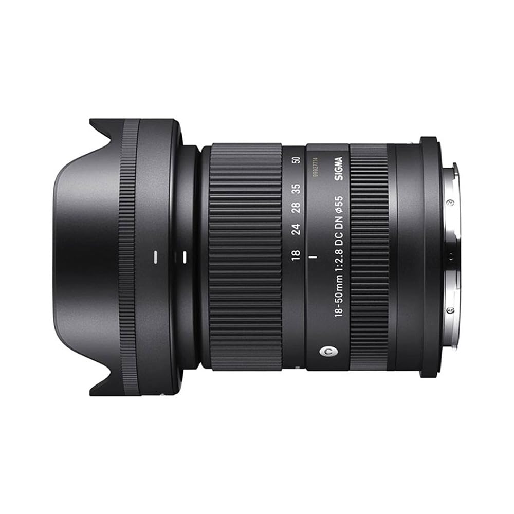 18-50mm F2.8 DC DN Contemporary (for E Mount)