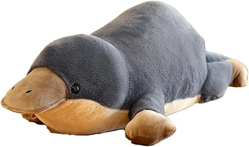 JmnV ʂ  NbV l` \tggC  Aj}Y  傫 O _炩 \tg  Gǂ A   Mtg v[g 蕨 ϐ pr (100cm)