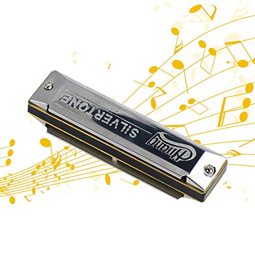 KKmoon Chave profissional de um 10 buracos gaitas de harmônica harmônica de blues de azuis com caixa