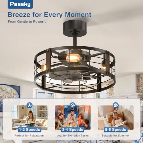 Image of Passky 20 Inch Farmhouse Caged Ceiling Fans with Lights and Remote, Black Downrod Mount Bladeless Fandelier, 6 Speeds Bladeless Ceiling Fan Light for Bedroom, Kitchen, Living Room, Indoor