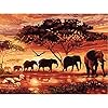 Diamond Painting Kits for Kids, 5D Diamant Schilderij voor volwassenen Olifanten Rhinestone Embroidery Borduurpakket…