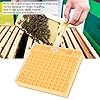 Queen Bee Breeding Box, Bee Mating Nuc Hives Plastic Bee King Incubator Free Move Harmless Breeding Box Beekeeper Beekeeping Tool Beekeeper Supplies