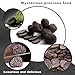 Truffle Slices, Black Summer Truffle Carpaccio, 50g/1.76oz, Natural drying, Thinly Sliced Delicacy, Truffle Gourmet Line, Product of Yuannan (Top Grade)