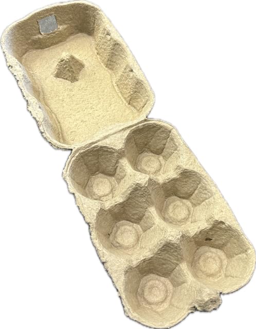 Générique Cardon Emballages - Lot de 438 boîtes à œufs 6 alvéoles en carton Cellulose moulé – Emballage pour Gros œufs de poule – Boîtes empilables pour éleveurs, fermes, marchés et vente directe