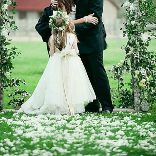 Pétalos de rosa de seda reutilizables que no manchan para lanzamiento de novios en bodas 3