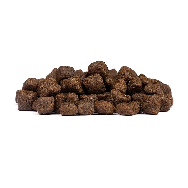 Foto 2 de 4 de Wild Duck Puppy 1 Kg