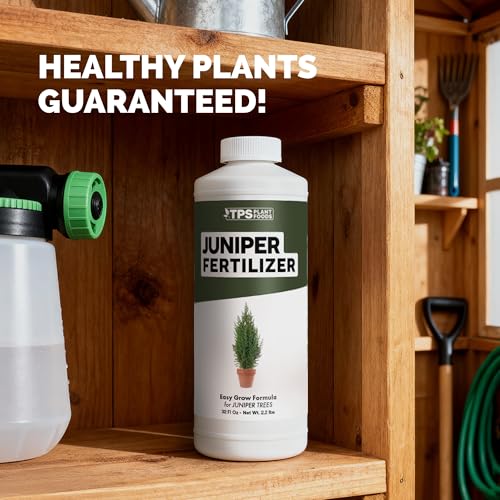 Fertilizante Líquido para Juníper, 32 oz miniatura 7