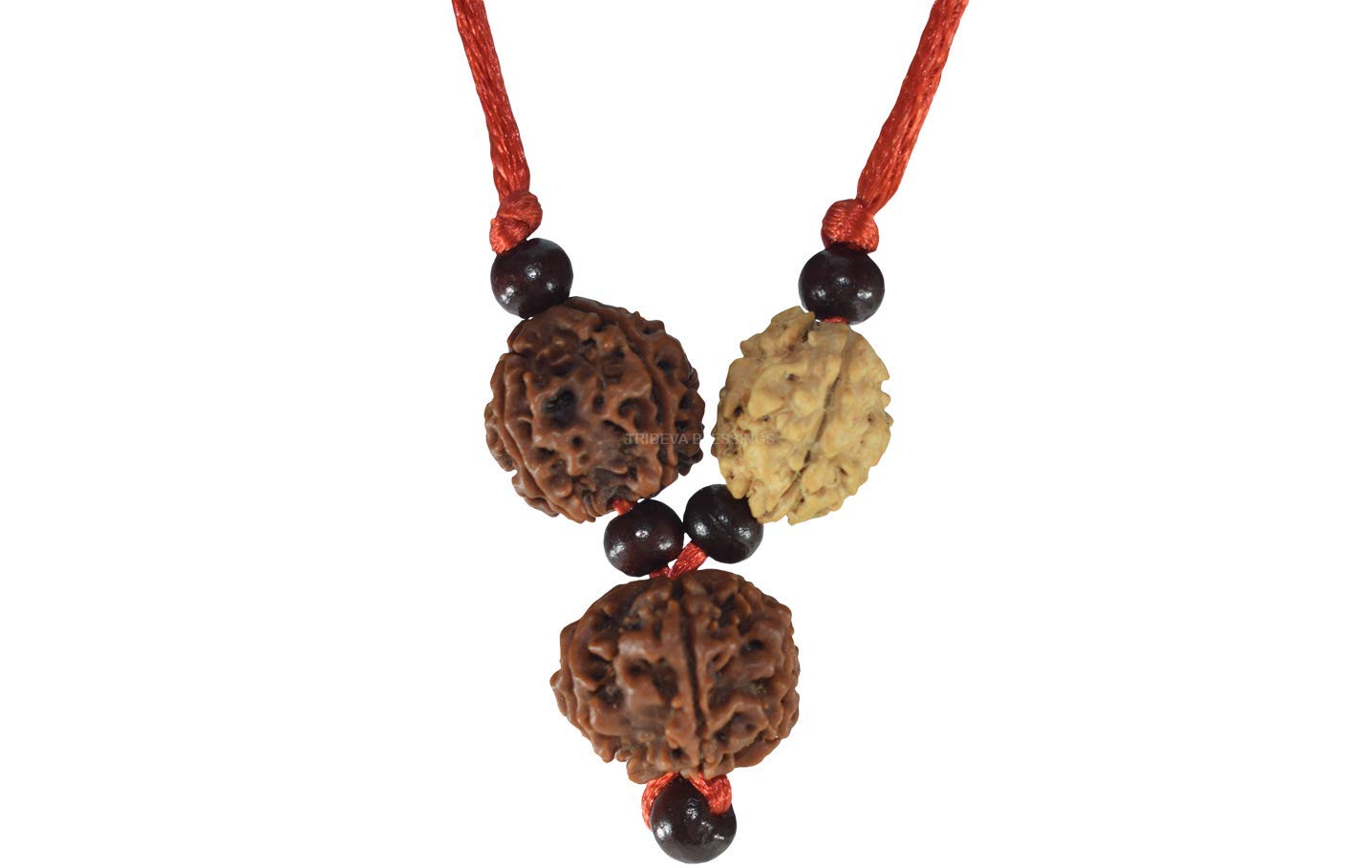 GenericTrideva Blessings Vidya Bandh/Vidya Kavach/Rudraksha Kavach - Lab Certified