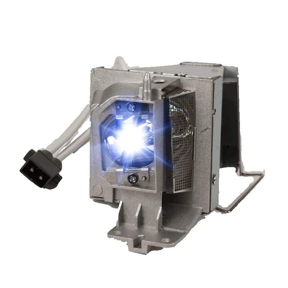 Terzomen NP40LP Replacement Projector Lamp for NEC NP40LP, with Original Bulb, Housing