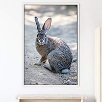 Framed Canvas Wall Art Bunny Animals Bedroom Expressive Multicolor Photography Rabbit Rustic - 16x24 inches