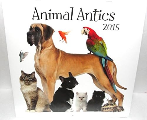 Animal Antics Dayspring Joyfully Yours 2015 Wall Calendar