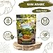 2 Pack Elnasr Instant Gum Powder Pure Natural Arabic Hashab Premium Acacia Arab Dried Non Gmo No Additives Kosher Halal (2 Pack = 10.5 oz / 300 gm) صمغ عربى حلال