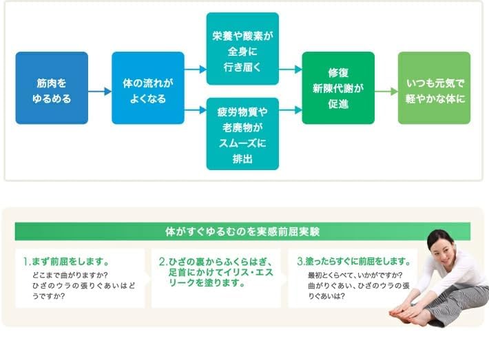 Amazon | 愛知電子工業 イリスエスリーク 詰替用500ml | イリスエス