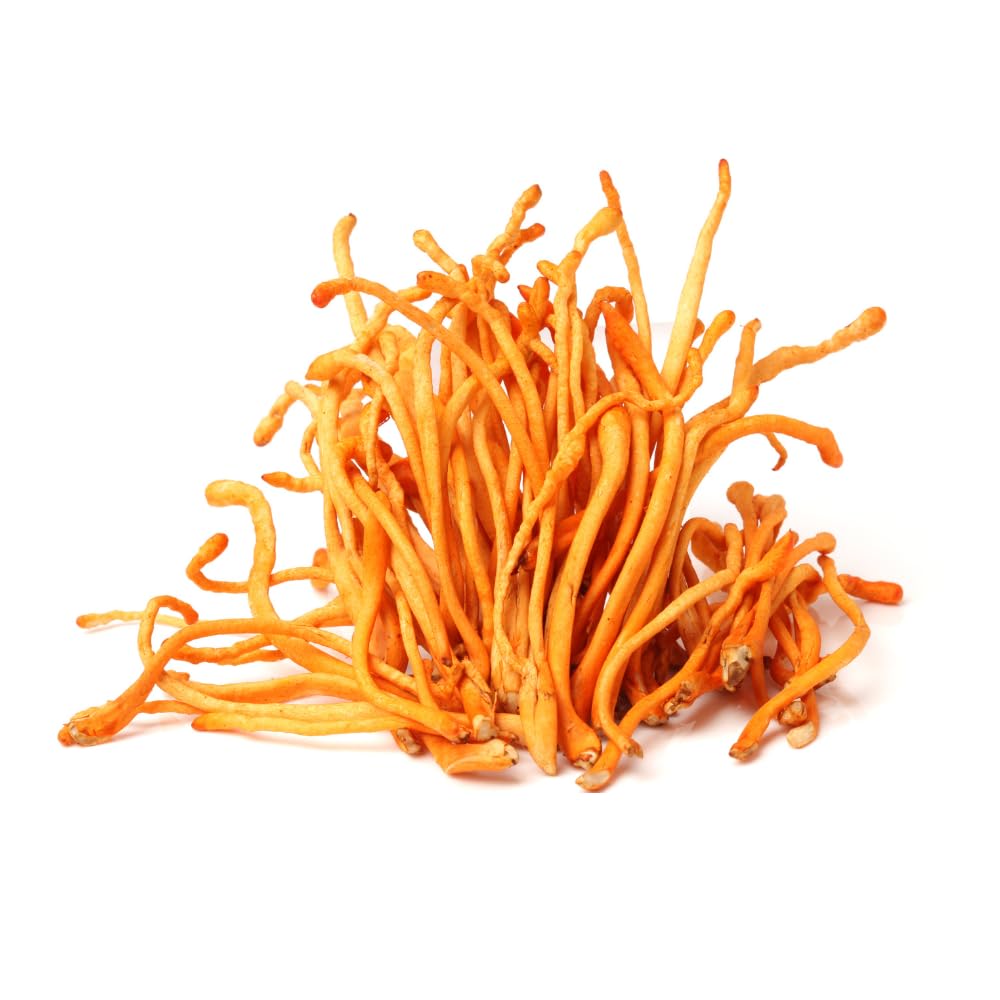 Cordyceps Militaris (Keedajadi) 30gm | No Presrevatives | Dry Mushroom (B0CGY13RLB) Amazon Price History, Amazon Price Tracker
