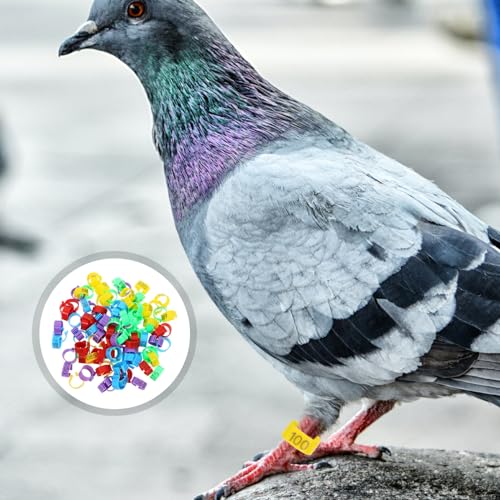 POPETPOP 100 Peças Anéis De Perna De Pombos De Pássaros - 16Mm Coloridos Legíveis E Numerados De Ide