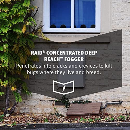 Raid. Raid Concentrated Deep Reach Fogger thumb #5