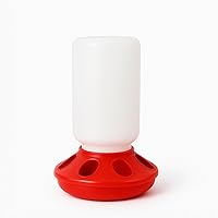 NZJWZS Waste-Free Baby Chick Feeder Jar - 1 Quart Poultry Feeder with 8 Holes for Chickens, Ducklings, Pigeons & Small Flocks